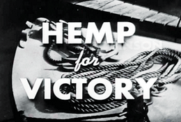 hemp for victory