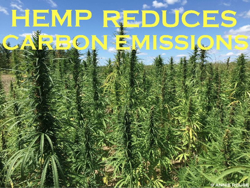 hemp reduces carbon emissions
