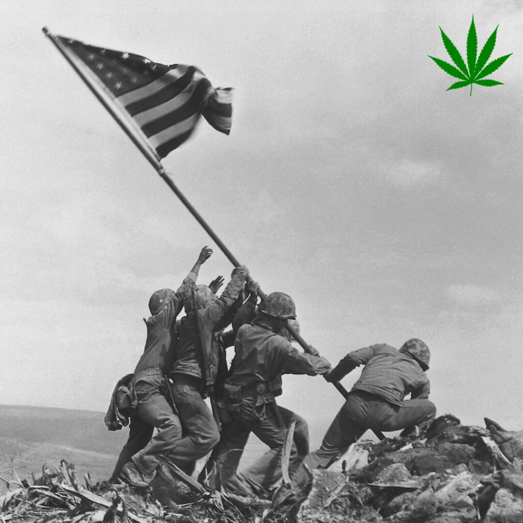 hempregulationcreatedcamaraderie hempregulationcreatedcamaraderie