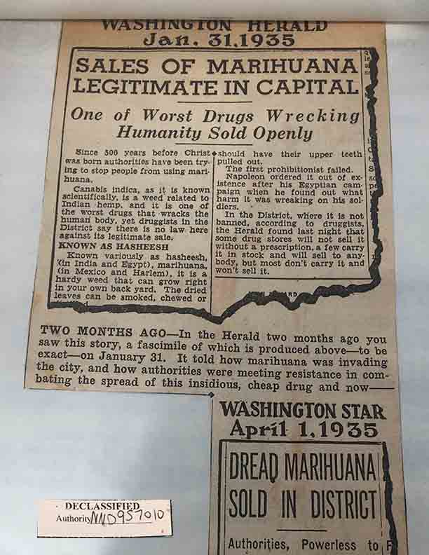 marijuana dread 1935