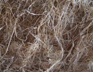 Cannabis 101 decorticated hemp fiber 300x233