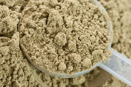 hemp protein hemp protein